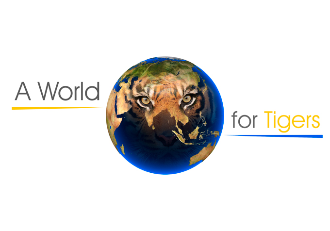 A World for Tigers